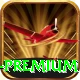 Pakistan Casino PK Premium